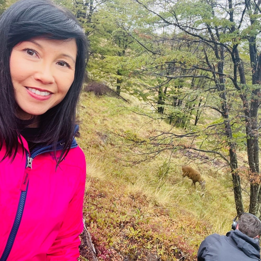 Deer tracking in Pagatonian Chile