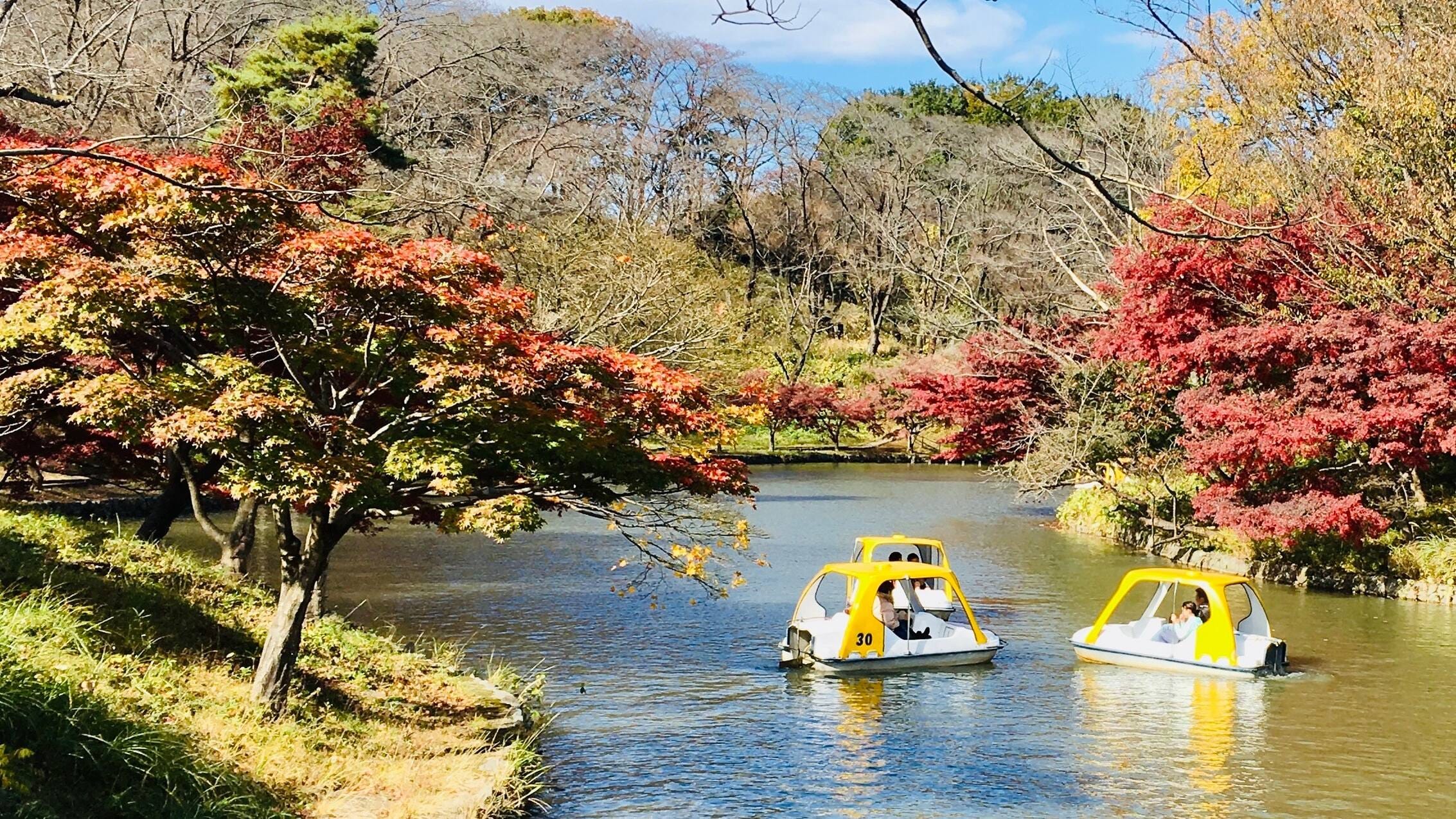 autumn leaves and swan boats on the water at Kodomo no kuni (kids world) in Japan