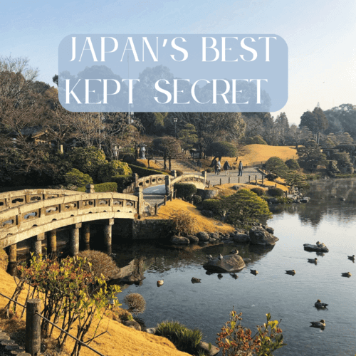 Instagram reel cover about Japan in Autumn